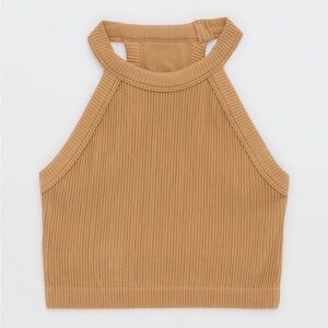 Aerie Superchill Seamless High Neck Bra Top